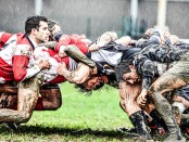 rugby