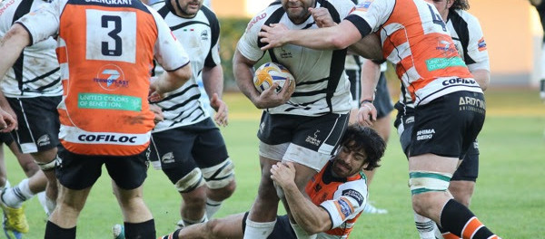 Derby di ritorno, Zebre: le scelte di coach Cavinato