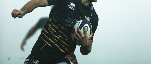 Champions Cup, la fotogallery di Zebre-Tolosa