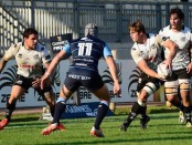 Meyer_Manici_Zebre_Cardiff