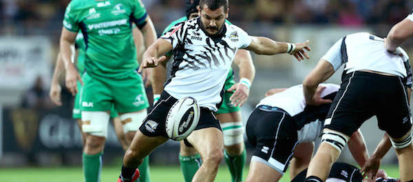 Zebre nella tana del Connacht