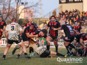 Zebre-Gloucester14