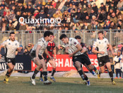 Zebre-Gloucester9