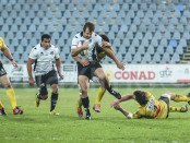 Zebre-LaRochelle19