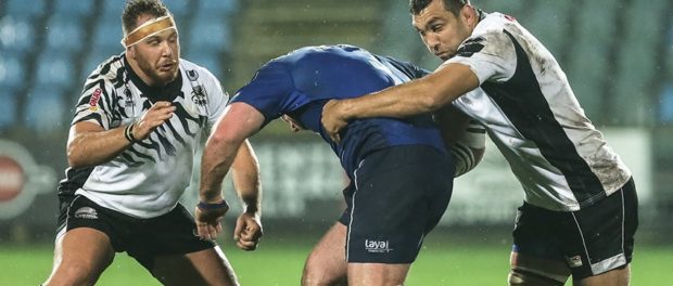 Zebre travolte dal Leinster