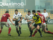 Zebre-Munster7