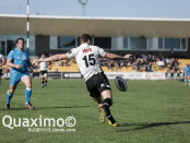 Zebre-Ulster