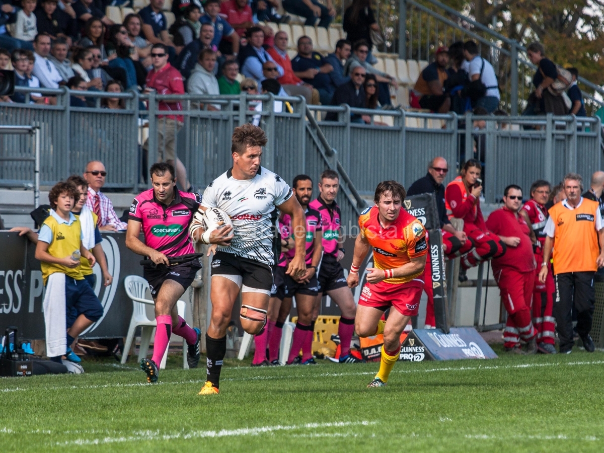 Zebre-Scarlets