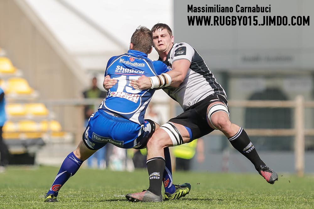 Zebre Newport 02