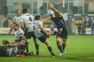 Zebre_Worcester_ph_Max_Carnabuci        