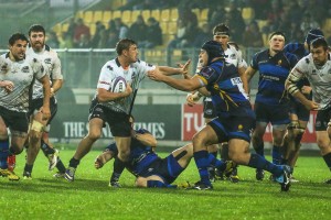 Zebre_Worcester_ph_Max_Carnabuci        