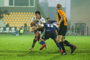 Zebre_Worcester_ph_Max_Carnabuci        