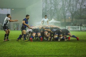 Zebre_Worcester_ph_Max_Carnabuci        