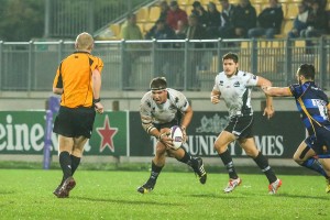 Zebre_Worcester_ph_Max_Carnabuci        