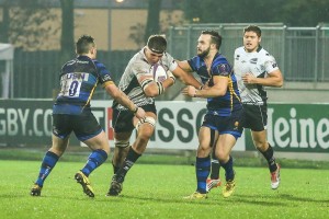 Zebre_Worcester_ph_Max_Carnabuci        