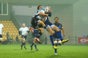 Zebre_Worcester_ph_Max_Carnabuci        