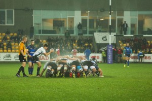 Zebre_Worcester_ph_Max_Carnabuci        