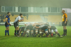 Zebre_Worcester_ph_Max_Carnabuci        