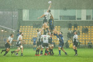 Zebre_Worcester_ph_Max_Carnabuci        