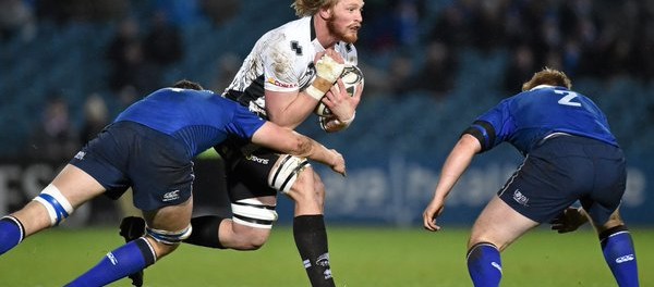 Zebre travolte dal Leinster