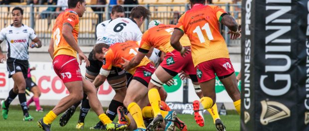 Zebre contro gli Scarlets arriva un punto